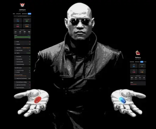 Matrix pill choice. Red being Lemmy.ca instance background detailed. Blue being Piefed.ca Instance background basic.