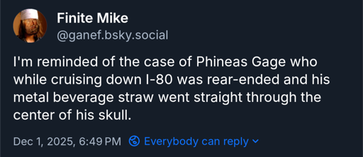Image text: I'm reminded of the case of Phineas Gage who while cruising down I-80 was rear-ended and his metal beverage straw went straight through the center of his skull.